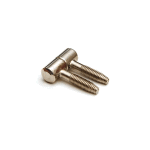 DX Meubel Inboorpaumelle Smal Type 11x29mm Vernikkeld HPLM C11029NI